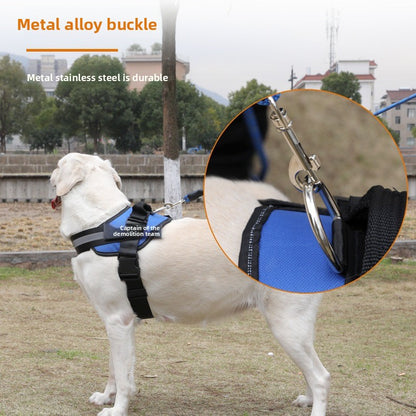 BarkTopia Custom No Pull Harness