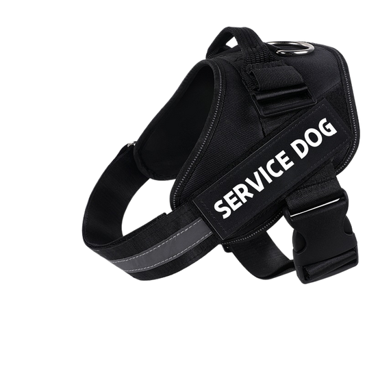 BarkTopia Custom No Pull Harness