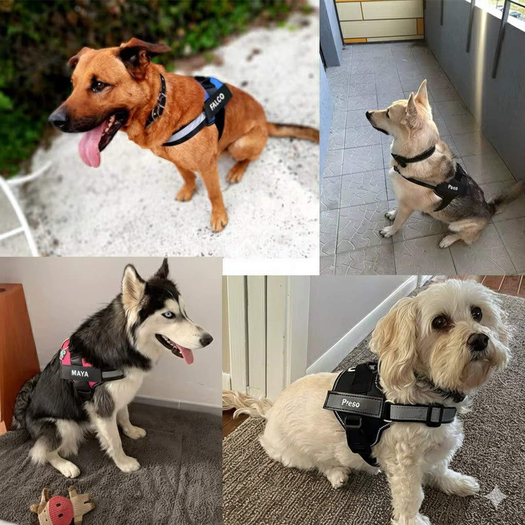 BarkTopia Custom No Pull Harness